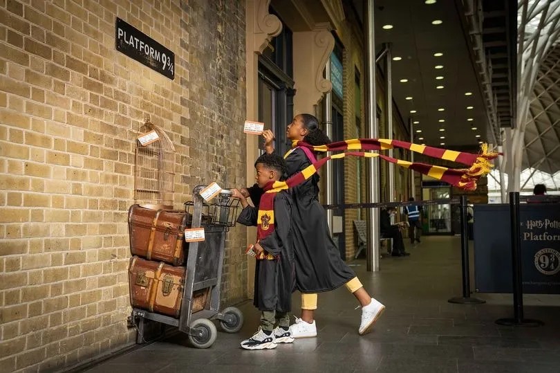 credit : wizarding world