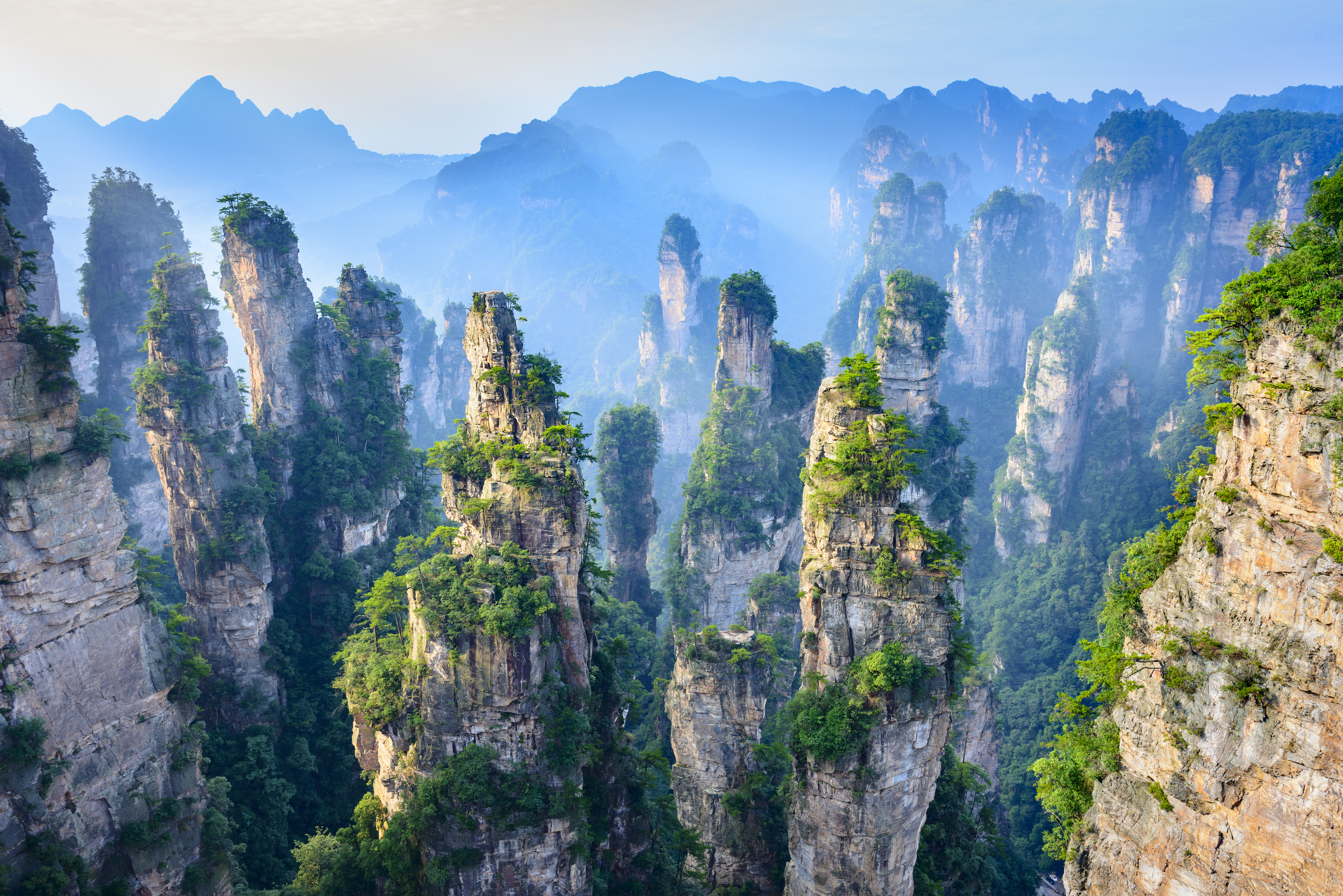 credit : shutterstock.com