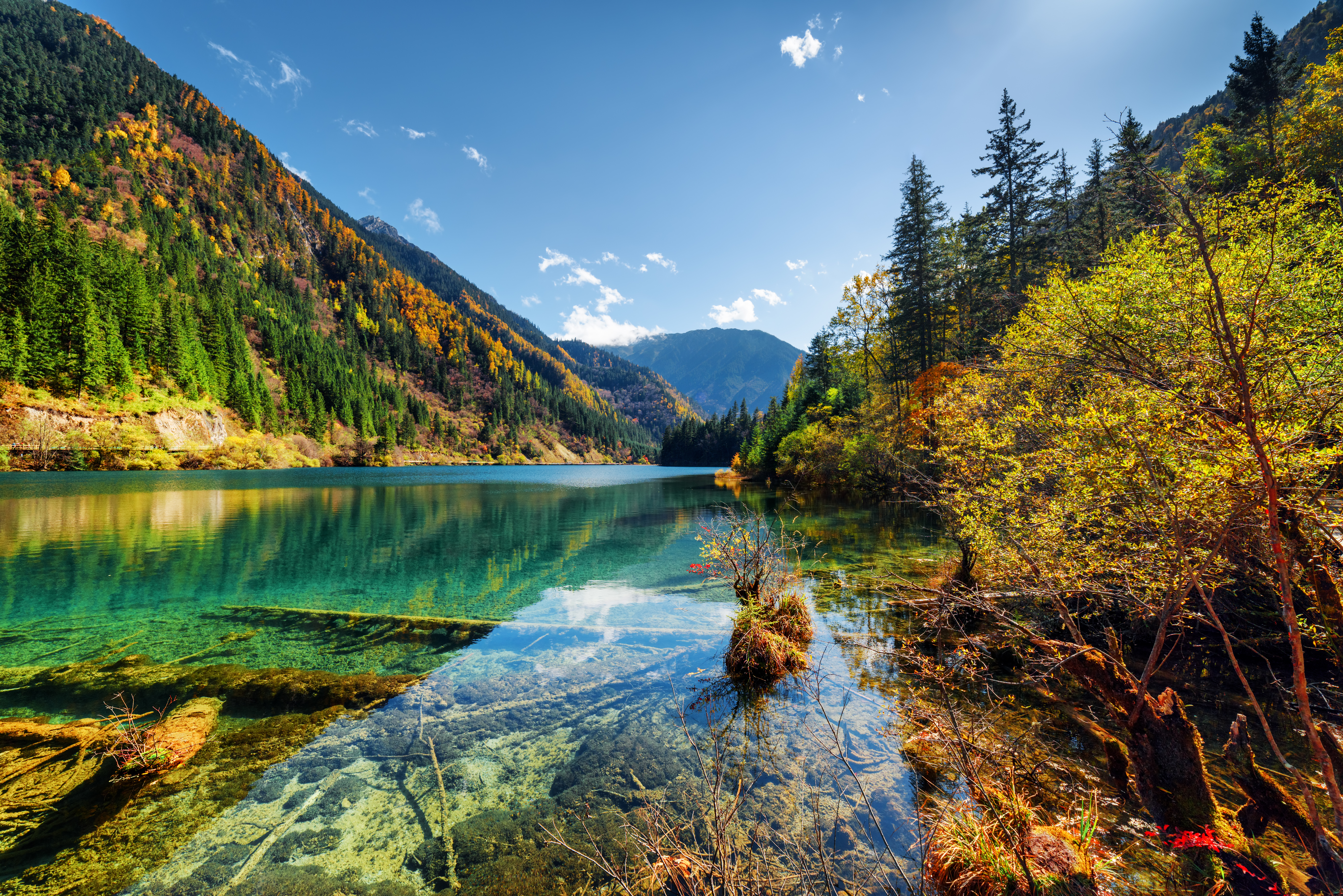 credit : shutterstock.com